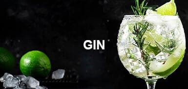Guide Gin
