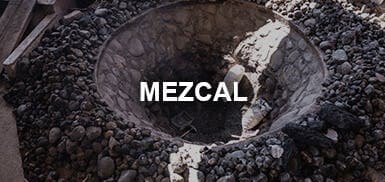 Guide to Mezcal