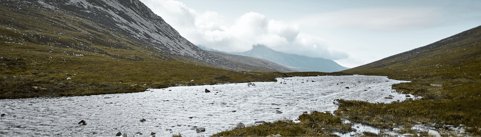 bannière paysage